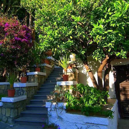 Hotel Terme Castaldi Forio di Ischia 외부 사진